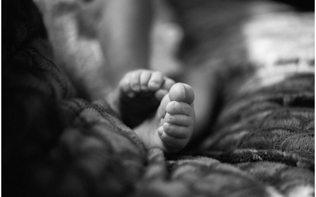 Top 10 des tendances photographiques pour 2024