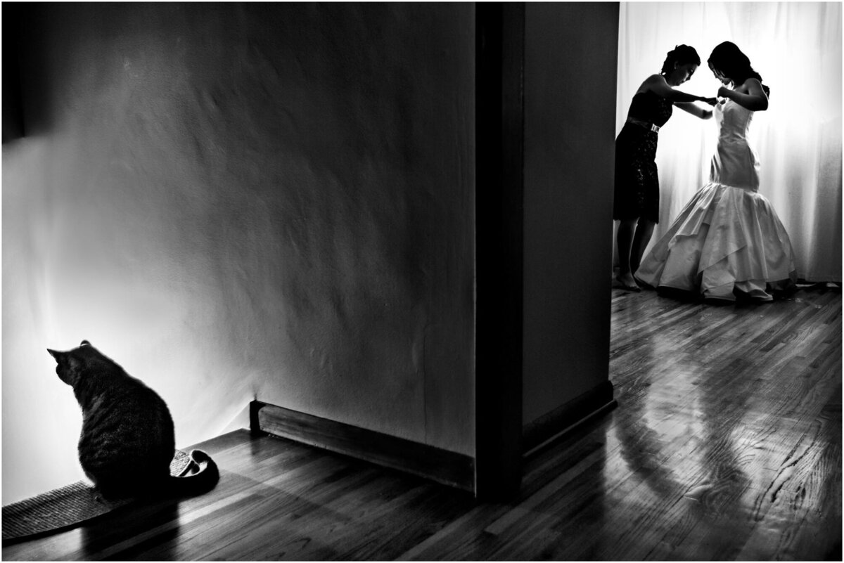 tendances photographiques 2024