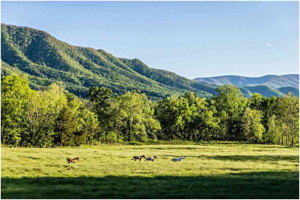 tendances photographiques 2024